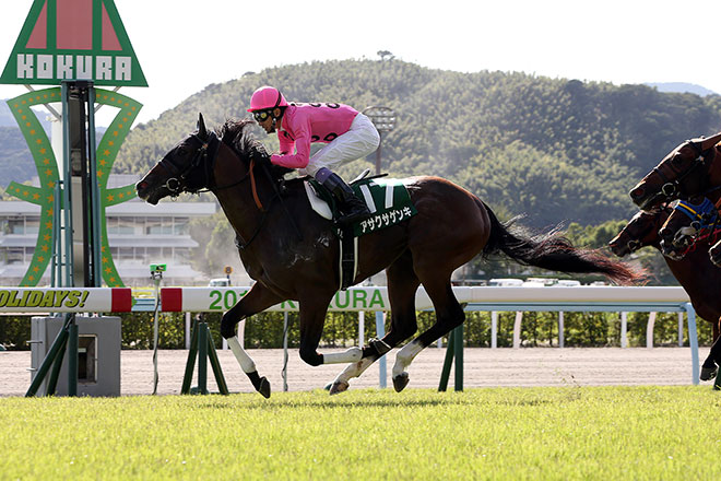 アサクサゲンキ