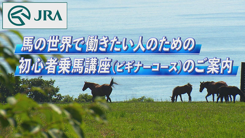 2026�N�x �r�M�i�[�R�[�X