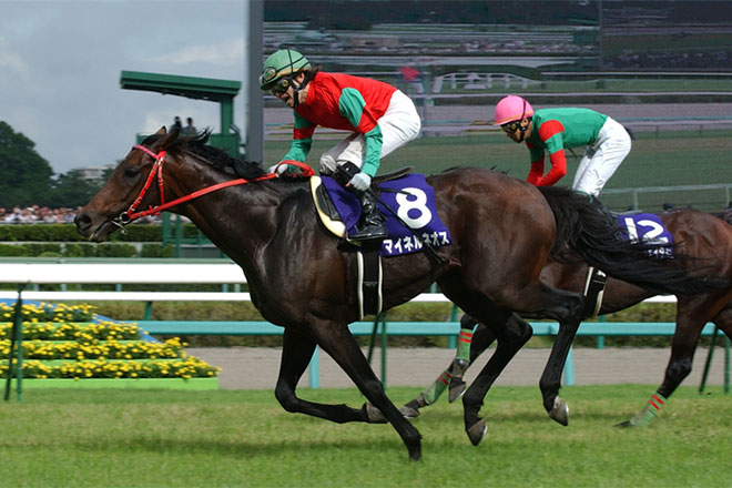 �}�C�l���l�I�X