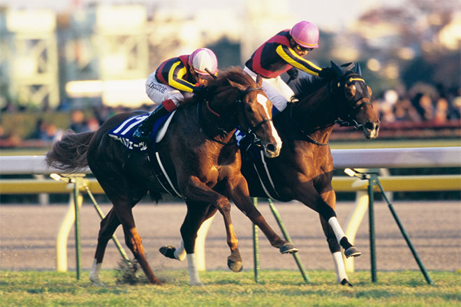 ジェンティルドンナ追悼関連行事の実施 JRA