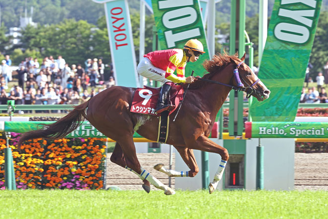 トウシンマカオ