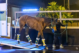 ベラジオオペラ