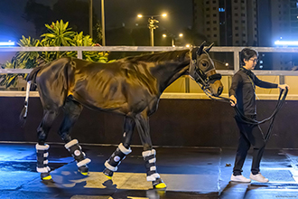 ロードデルレイ