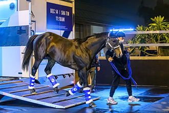 ソウルラッシュ