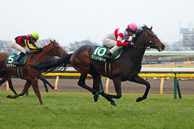 ダノンベルーガ