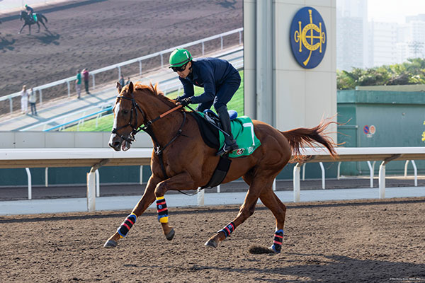 アーバンシック