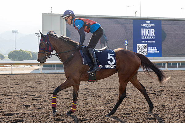 エンブロイダリー