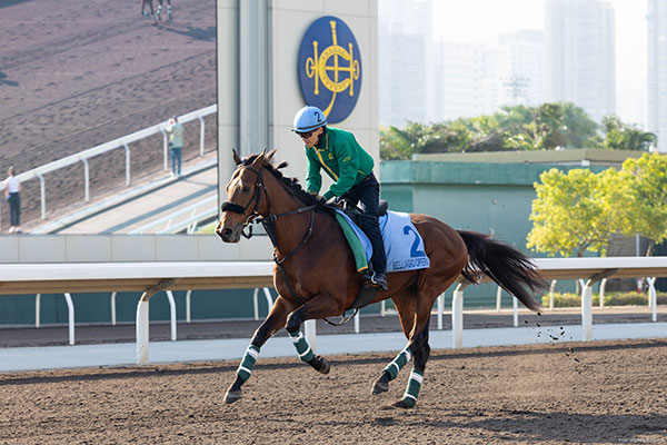 ベラジオオペラ