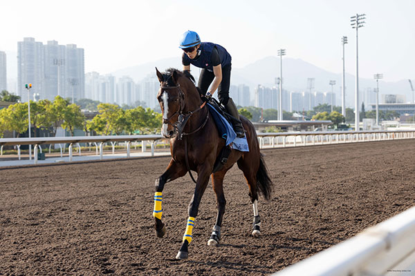 ローシャムパーク