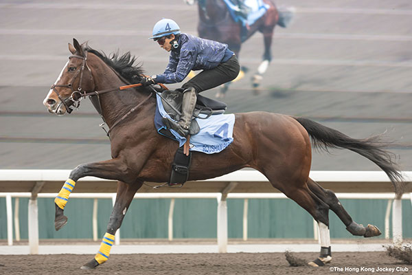 ローシャムパーク