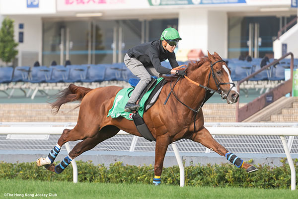 アーバンシック