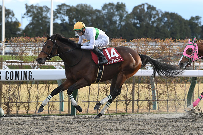ウィリアムバローズ