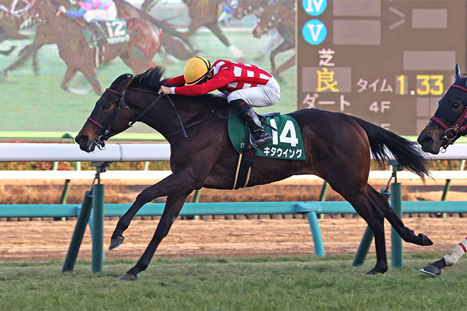 �L�^�E�C���O