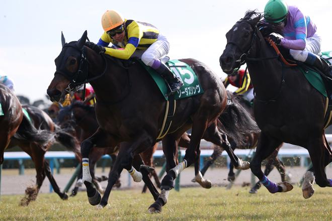 �\�[�_�Y�����O