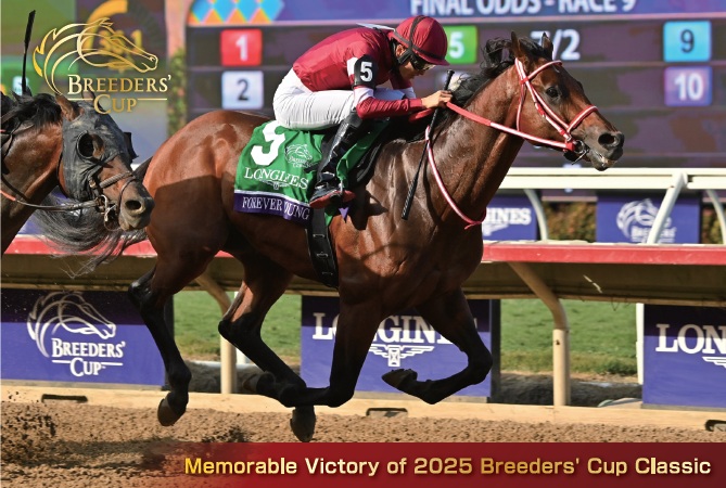 �L�O�|�X�g�J�[�h