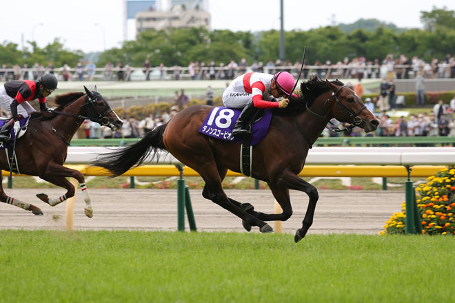 �_�m���X�R�[�s�I��