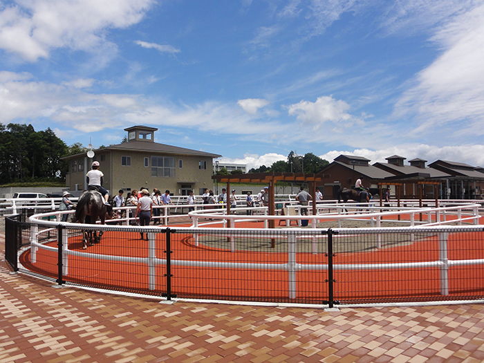 「ファミリーで馬に親しむ日」 1