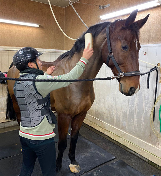 �n�̎����