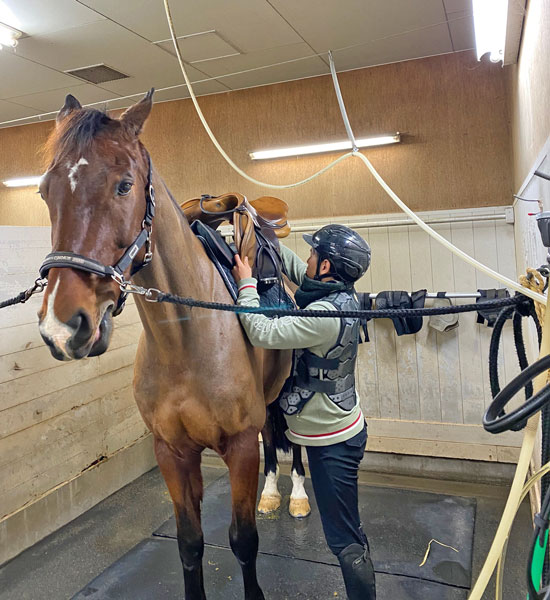 �n�̎����