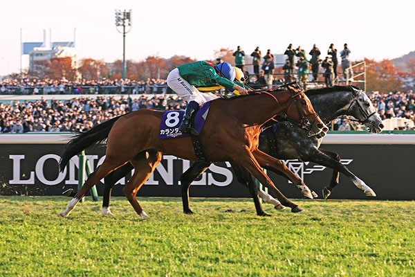 �W���p���J�b�v