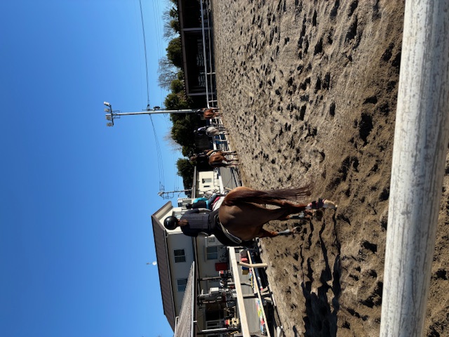 初心者乗馬クラス 1