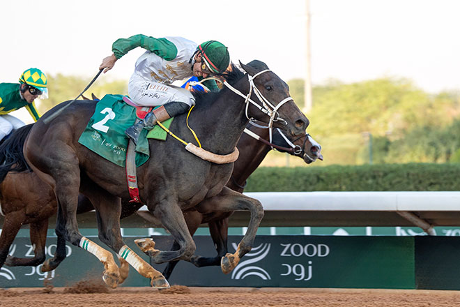 サウジダービー アルハラム