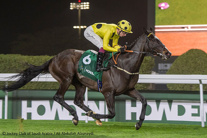 ネオムターフカップ ロイヤルチャンピオン