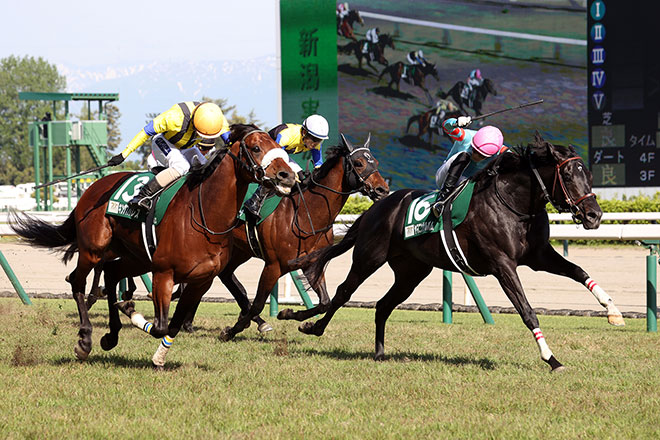 ヤマニンサルバム