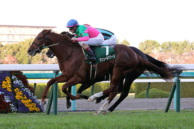 �O�����[�l�O���[��