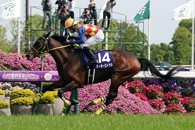 �e�[�I�[���C����