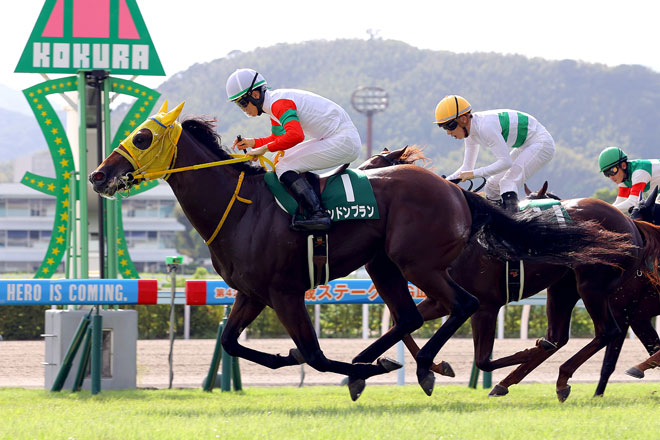 �����h���v����