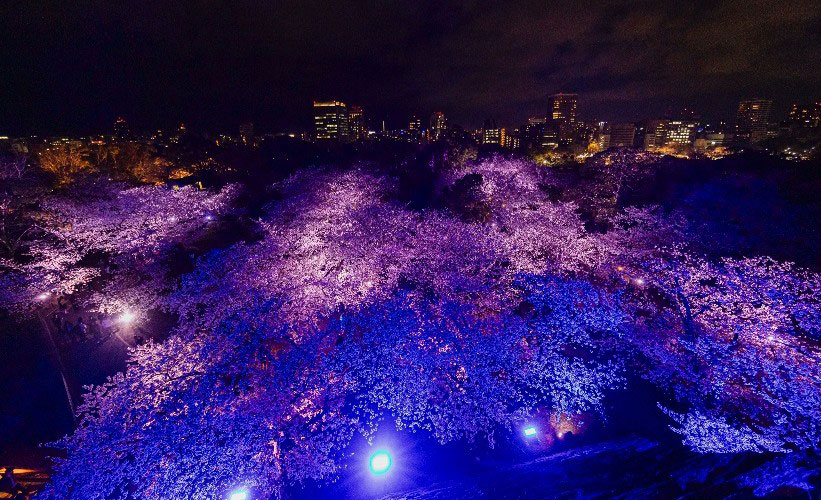 JRAエクセル博多Presents 桜園