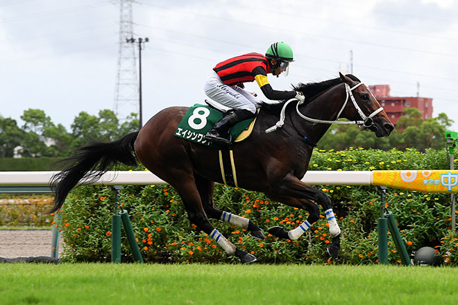 �G�C�V�������h