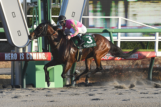 �e�C�G���g�b�L���E