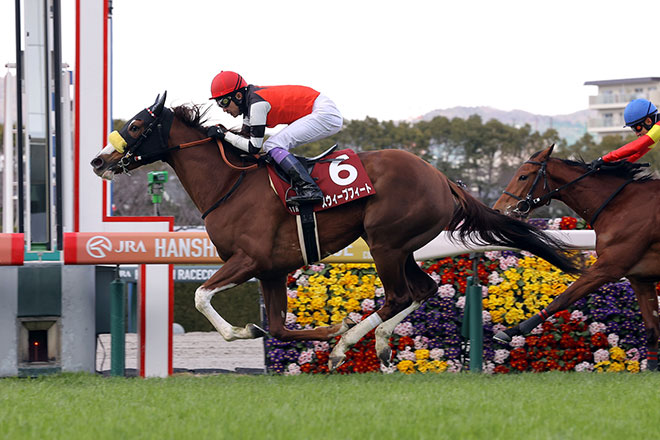 �X�E�B�[�v�t�B�[�g