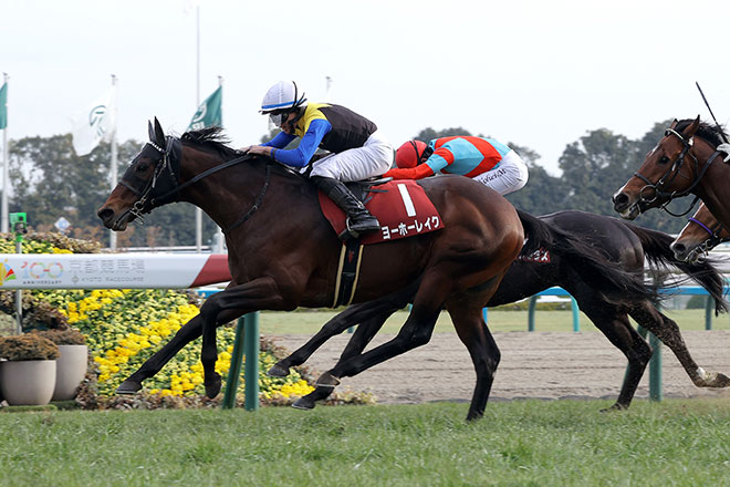 ���[�z�[���C�N