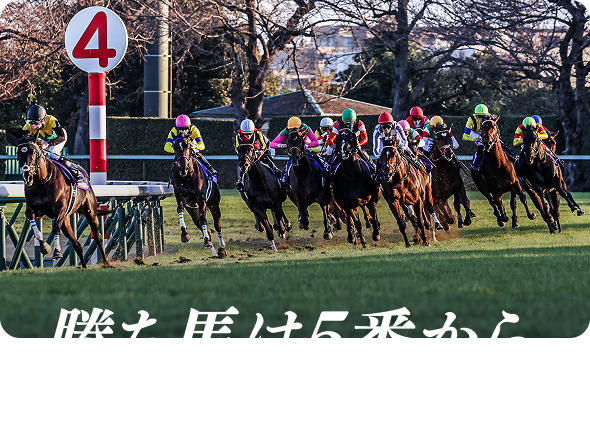 勝ち馬は5番から11番に集中