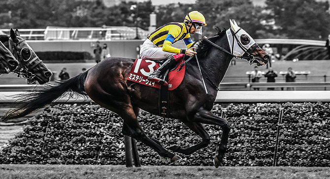 出走予定馬｜2025有馬記念特設サイト｜JRA