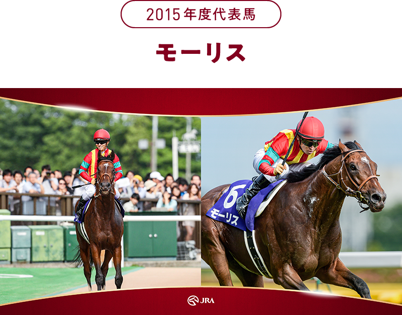 2015�N�x��\�n�@���[���X