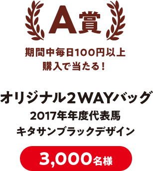 A賞 オリジナル2WAYバッグ 3,000名様