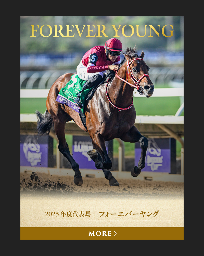 2025 年度代表馬  ｜  フォーエバーヤング