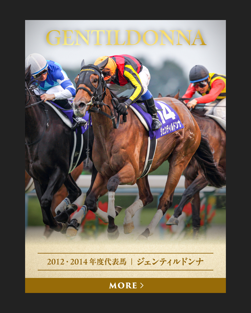 2012・2014 年度代表馬  ｜  ジェンティルドンナ
