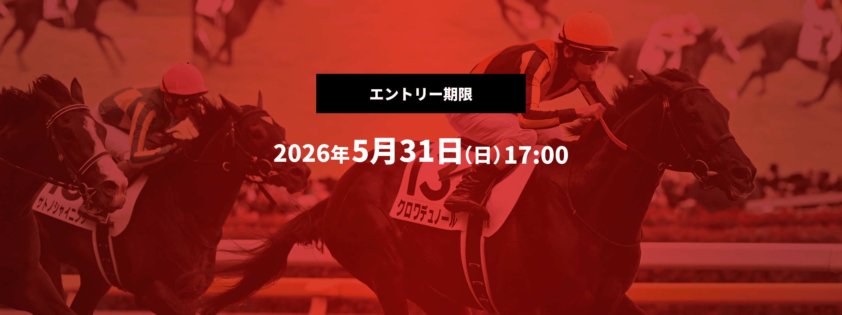 エントリー期間,2026年5月31日(日)17:00