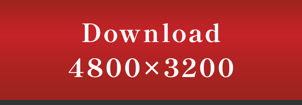 Download 4800�~3200