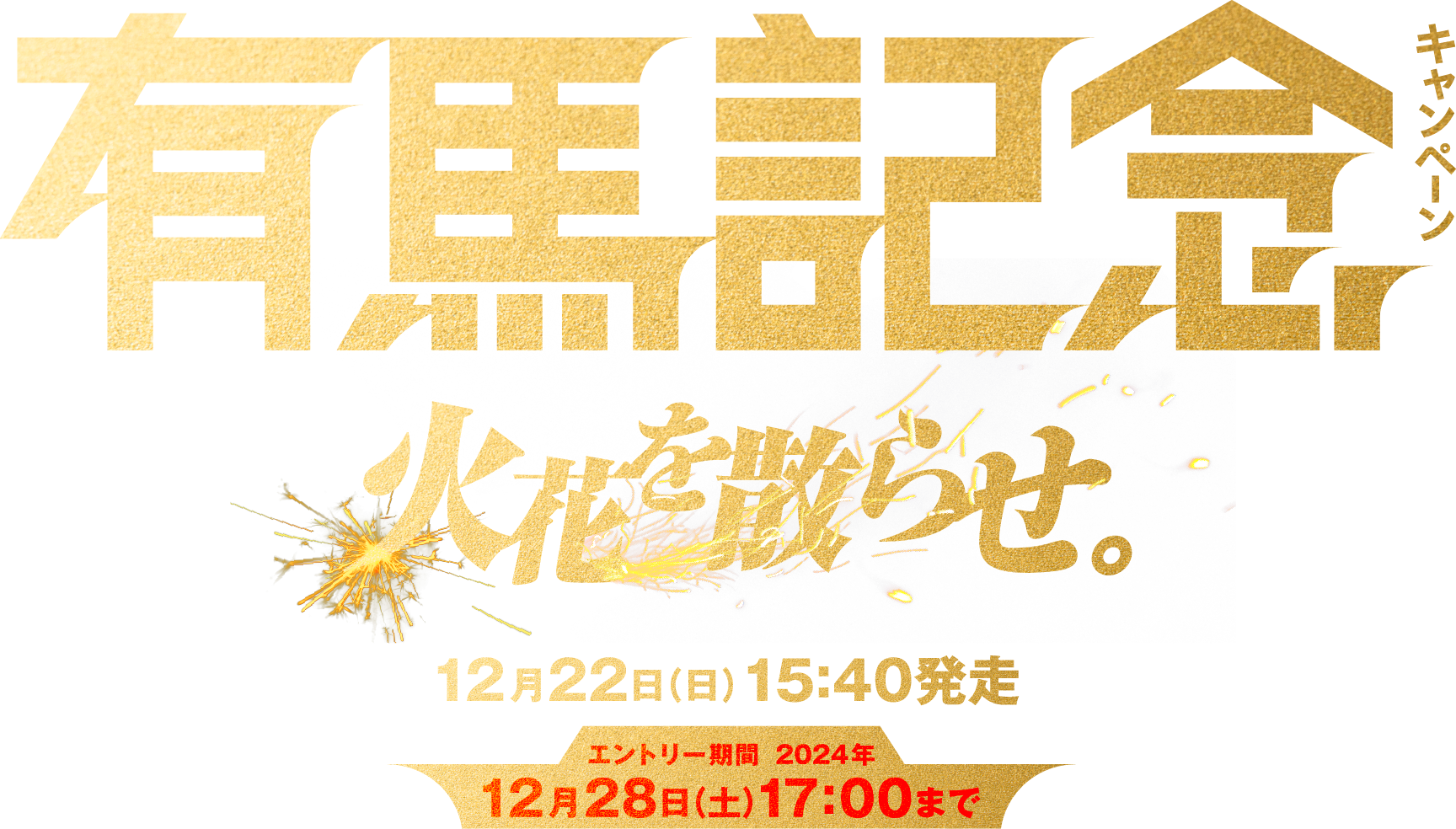 有馬記念キャンペーン 火花を散らせ。 12月22日(日)15:40発走 エントリー期間 2024年12月28日(土)17:00まで