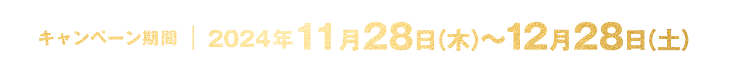 キャンペーン期間 2024年11月28日(木)〜12月28日(土)