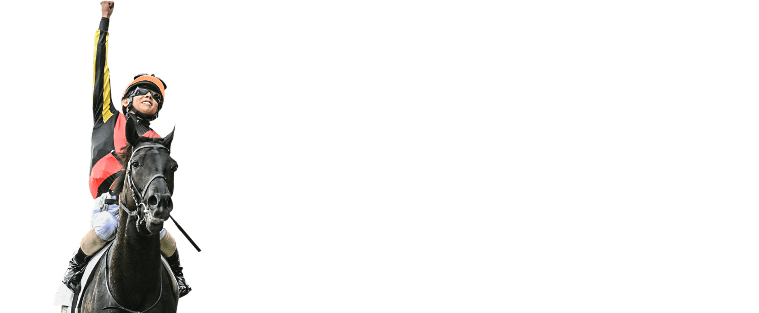 参加方法
