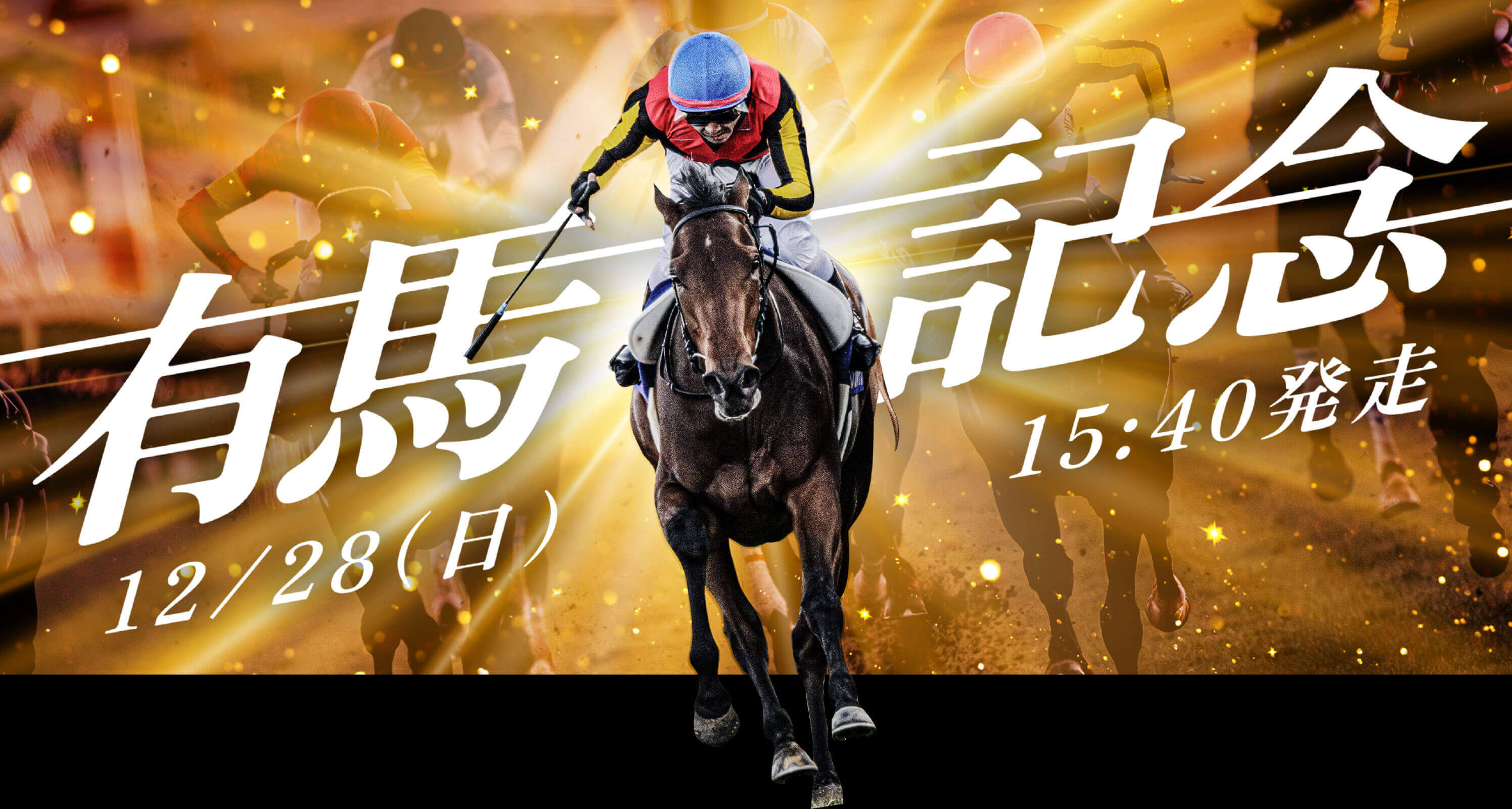 有馬記念 12月28日(日)15：40発走
