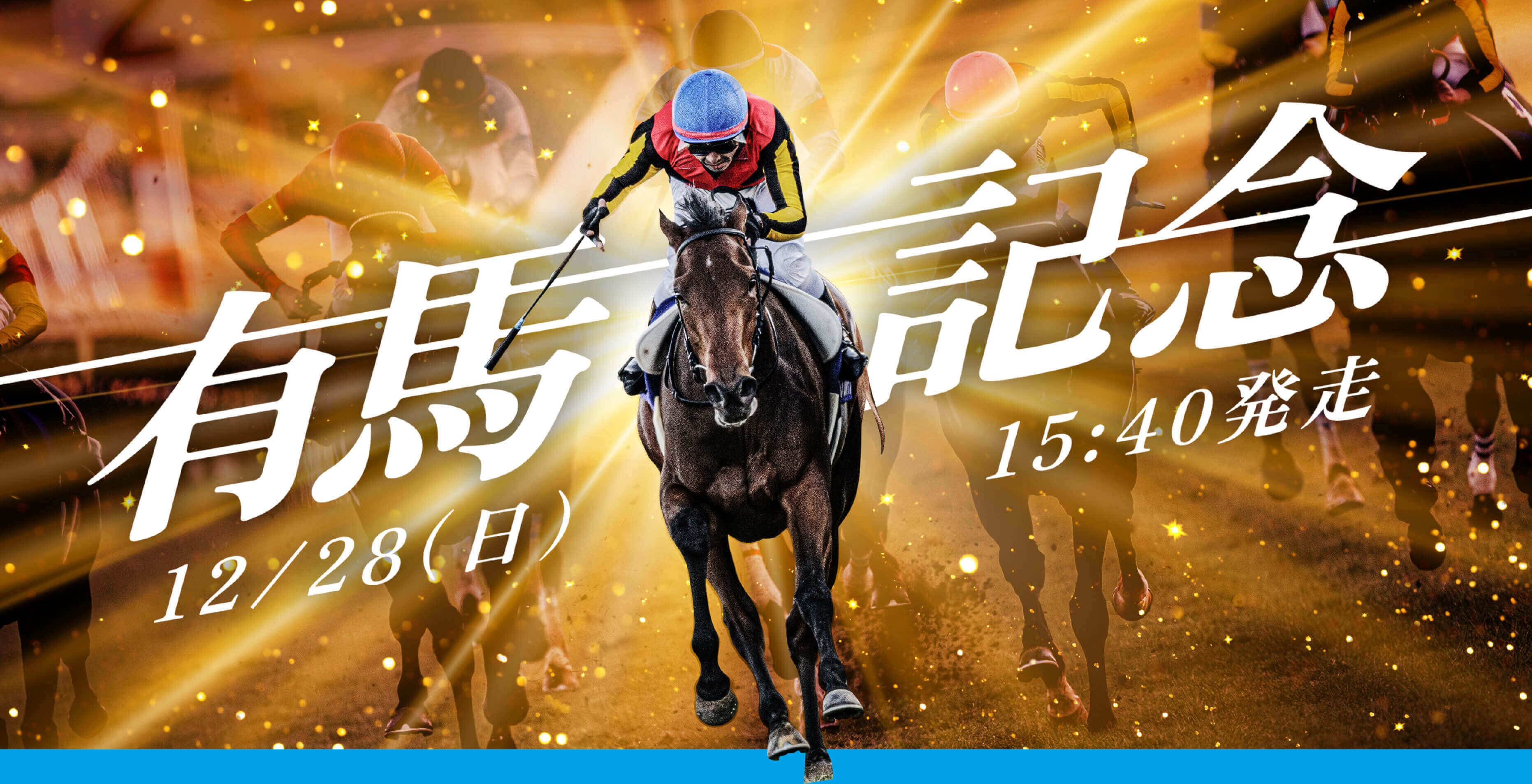 有馬記念 12月28日(日)15：40発走