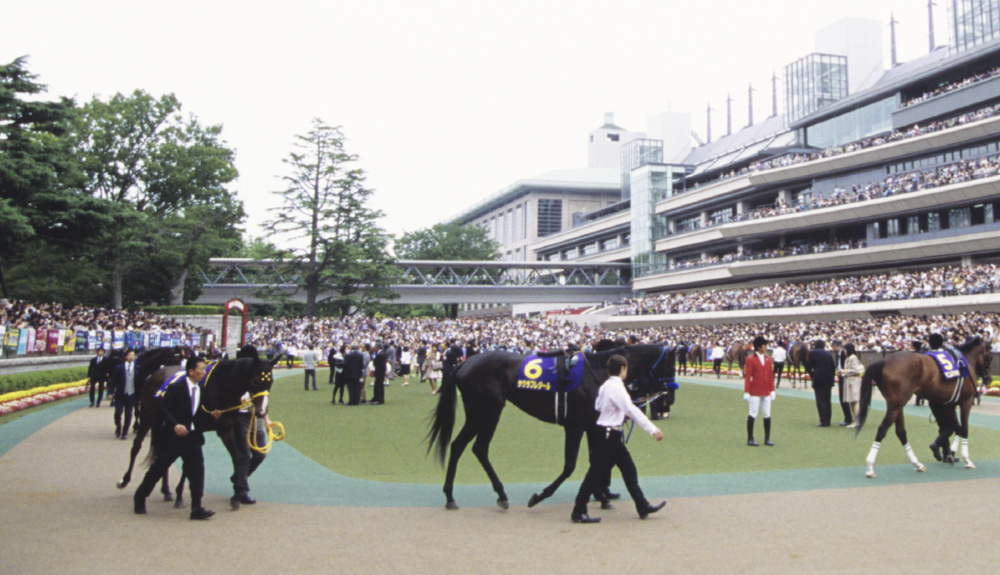 未知だから面白い！強い2歳馬を見抜くコツ。